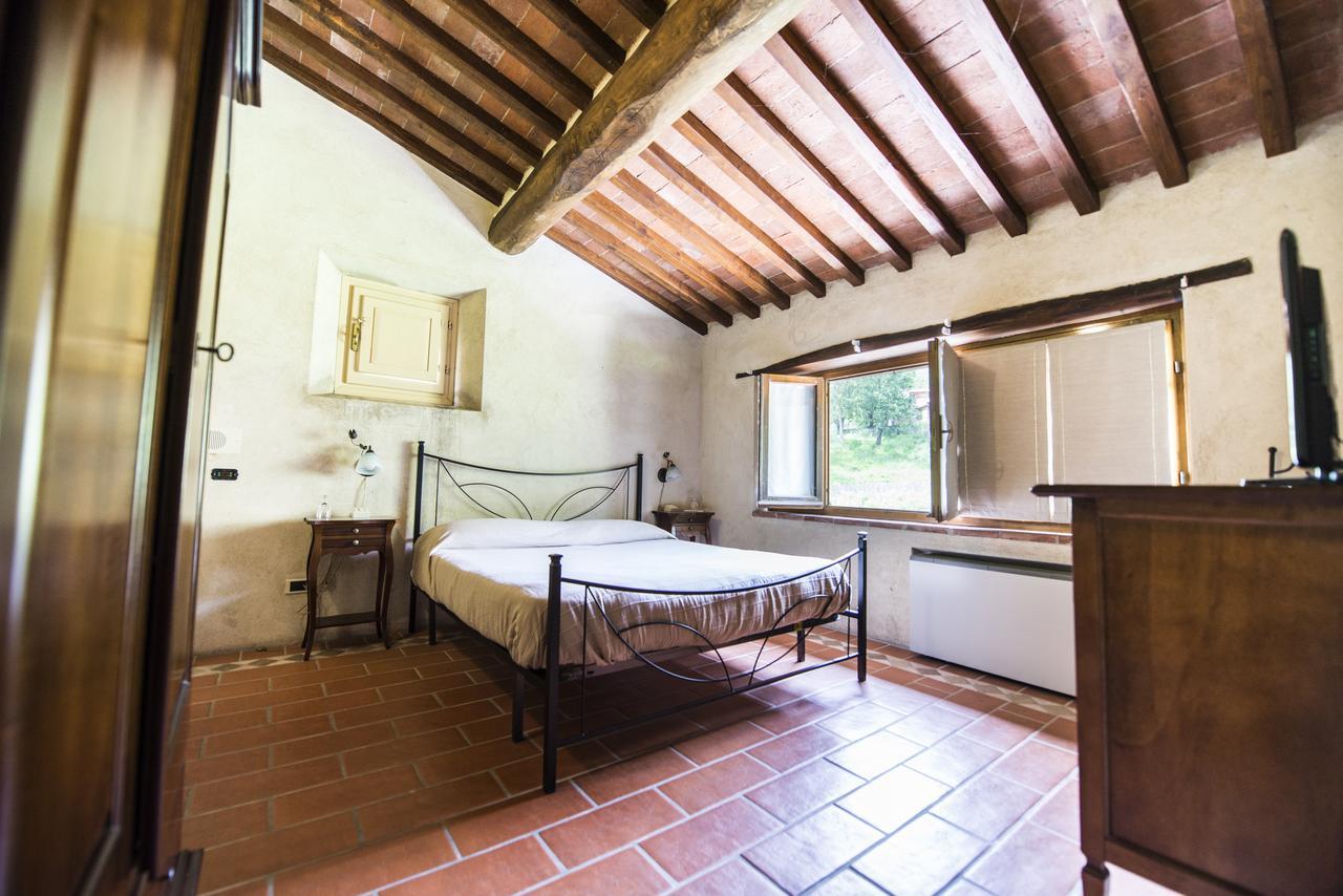 Bernardone Camaiore